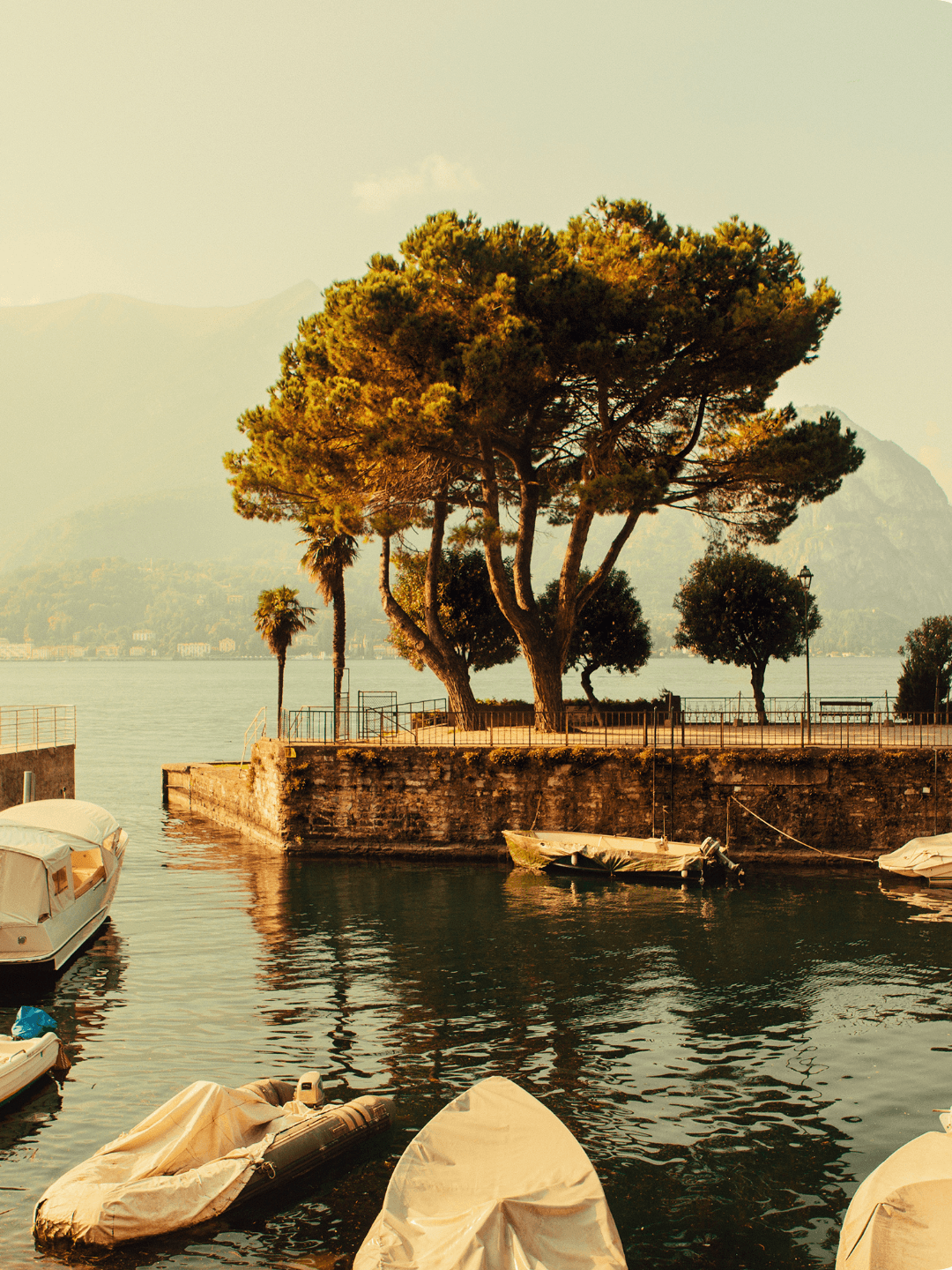 Article cover: planning a wedding from abroad